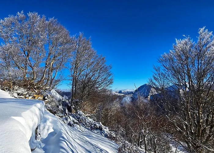 Des Edelweiss, Guzet Chalet Ustou